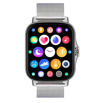 RADIANTSMART RAS10404 LAS VEGAS PREMIUM IPSILVER SILVER MESH