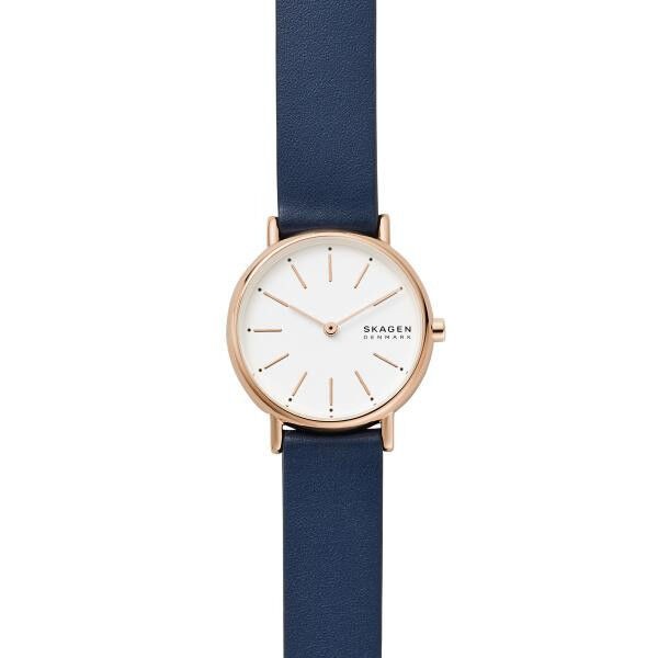 SKAGEN SKW2838